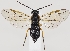  ( - ZMUO.037284)  @11 [ ] CreativeCommons - Attribution Non-Commercial (2019) Marko Mutanen University of Oulu