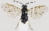  ( - ZMUO.037301)  @11 [ ] CreativeCommons - Attribution Non-Commercial (2019) Marko Mutanen University of Oulu