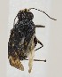  ( - ZMUO.037416)  @11 [ ] CreativeCommons - Attribution Non-Commercial (2019) Marko Mutanen University of Oulu