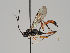  ( - ZMUO.037604)  @11 [ ] CreativeCommons - Attribution Non-Commercial (2018) Marko Mutanen University of Oulu
