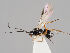  ( - ZMUO.037736)  @11 [ ] CreativeCommons - Attribution Non-Commercial (2018) Marko Mutanen University of Oulu