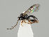  ( - ZMUO.037755)  @12 [ ] CreativeCommons - Attribution Non-Commercial (2018) Marko Mutanen University of Oulu