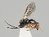  ( - ZMUO.037775)  @11 [ ] CreativeCommons - Attribution Non-Commercial (2018) Marko Mutanen University of Oulu