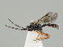  ( - ZMUO.037782)  @11 [ ] CreativeCommons - Attribution Non-Commercial (2018) Marko Mutanen University of Oulu