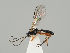  ( - ZMUO.037792)  @13 [ ] CreativeCommons - Attribution Non-Commercial (2018) Marko Mutanen University of Oulu