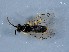  ( - ZMUO.039000)  @11 [ ] by-nc (2020) Marko Mutanen University of Oulu