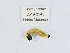  ( - ZMUO.039371)  @11 [ ] by-nc (2020) Marko Mutanen University of Oulu