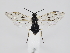  ( - ZMUO.039415)  @14 [ ] by-nc (2020) Marko Mutanen University of Oulu