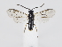  ( - ZMUO.039483)  @14 [ ] by-nc (2020) Marko Mutanen University of Oulu