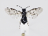  ( - ZMUO.039546)  @11 [ ] by-nc (2020) Marko Mutanen University of Oulu