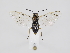  ( - ZMUO.039599)  @11 [ ] by-nc (2020) Marko Mutanen University of Oulu