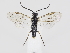  ( - ZMUO.039756)  @11 [ ] by-nc (2020) Marko Mutanen University of Oulu