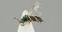  ( - ZMUO.041465)  @11 [ ] by-nc (2018) Marko Mutanen University of Oulu
