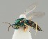  ( - ZMUO.041466)  @11 [ ] by-nc (2018) Marko Mutanen University of Oulu