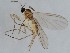  ( - ZMUO.043018)  @11 [ ] by-nc (2021) Marko Mutanen University of Oulu