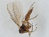  ( - ZMUO.043402)  @11 [ ] by-nc (2021) Marko Mutanen University of Oulu