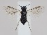  ( - ZMUO.044168)  @11 [ ] by-nc (2021) Marko Mutanen University of Oulu