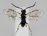  ( - ZMUO.044267)  @11 [ ] by-nc (2021) Marko Mutanen University of Oulu