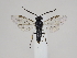 ( - ZMUO.044442)  @11 [ ] by-nc (2021) Marko Mutanen University of Oulu