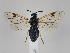  ( - ZMUO.044847)  @11 [ ] by-nc (2021) Marko Mutanen University of Oulu