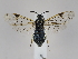  ( - ZMUO.044848)  @11 [ ] by-nc (2021) Marko Mutanen University of Oulu