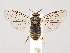  ( - ZMUO.045895)  @11 [ ] by-nc (2021) Marko Mutanen University of Oulu