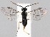  ( - ZMUO.046311)  @11 [ ] by-nc (2021) Marko Mutanen University of Oulu