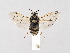  ( - ZMUO.046423)  @11 [ ] by-nc (2021) Marko Mutanen University of Oulu