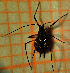  ( - ZMUO.046894)  @11 [ ] by-nc (2021) Erkka Laine University of Oulu