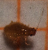 ( - ZMUO.047239)  @11 [ ] by-nc (2021) Erkka Laine University of Oulu