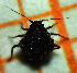  ( - ZMUO.047340)  @11 [ ] by-nc (2022) Erkka Laine University of Oulu
