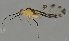  ( - ZMUO.047463)  @11 [ ] by-nc (2022) Erkka Laine University of Oulu