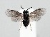  ( - ZMUO.062994)  @11 [ ] by-nc (2023) Marko Mutanen University of Oulu