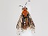  ( - ZMUO.063157)  @11 [ ] by-nc (2023) Marko Mutanen University of Oulu