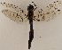 ( - ZMUO.063363)  @11 [ ] by-nc (2022) Marko Mutanen University of Oulu