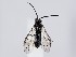  ( - ZMUO.063591)  @11 [ ] by-nc (2023) Marko Mutanen University of Oulu