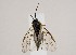  ( - ZMUO.063698)  @11 [ ] by-nc (2023) Marko Mutanen University of Oulu