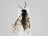  ( - ZMUO.063707)  @11 [ ] by-nc (2023) Marko Mutanen University of Oulu
