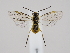  ( - ZMUO.063709)  @11 [ ] by-nc (2023) Marko Mutanen University of Oulu