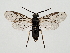  ( - ZMUO.063882)  @11 [ ] by-nc (2023) Marko Mutanen University of Oulu