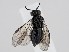  ( - ZMUO.063994)  @11 [ ] by-nc (2023) Marko Mutanen University of Oulu