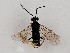  ( - ZMUO.064081)  @11 [ ] by-nc (2023) Marko Mutanen University of Oulu