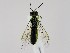  ( - ZMUO.064508)  @11 [ ] by-nc (2023) Marko Mutanen University of Oulu