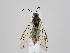  ( - ZMUO.064725)  @11 [ ] by-nc (2023) Marko Mutanen University of Oulu