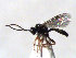  ( - ZMUO.066517)  @11 [ ] by-nc (2023) Pirjo Appelgren Friendship Park Research Centre