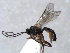  ( - ZMUO.066565)  @11 [ ] by-nc (2023) Pirjo Appelgren Friendship Park Research Centre
