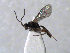  ( - ZMUO.066605)  @11 [ ] by-nc (2023) Pirjo Appelgren Friendship Park Research Centre
