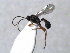  ( - ZMUO.066612)  @11 [ ] by-nc (2023) Pirjo Appelgren Friendship Park Research Centre