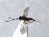 ( - ZMUO.066650)  @11 [ ] by-nc (2023) Pirjo Appelgren Friendship Park Research Centre