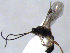  ( - ZMUO.066653)  @11 [ ] by-nc (2023) Pirjo Appelgren Friendship Park Research Centre